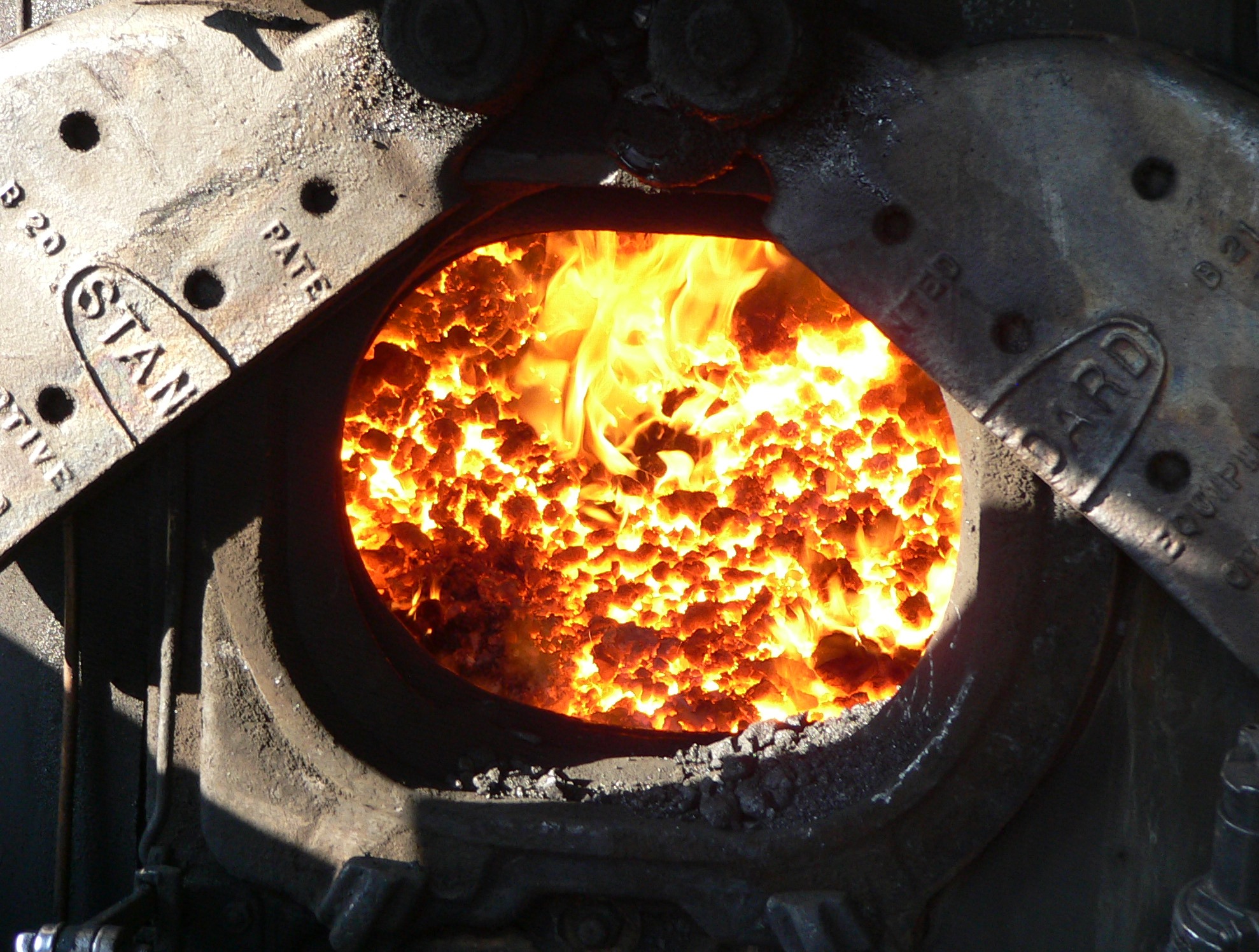 Biomass Combustion