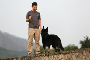 man walking his dog